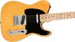 Elektrikitarr Fender Squier Affinity Telecaster MN BPG BTB hind ja info | Kitarrid | hansapost.ee