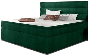 Кровать  Softy, 160х200 см, зеленая цена и информация | Кровати | hansapost.ee