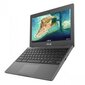 Defektiga toode. Asus Chromebook CR1 CR1100CKA-YZ142 цена и информация | Defektiga tooted | hansapost.ee