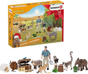 Schleich Advent Calendar 2021 Wild Life 98272 цена и информация | Развивающие игрушки для детей | hansapost.ee