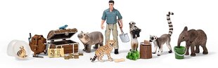 Advendikalender Wild Life Schleich 98272, 24 hind ja info | Arendavad laste mänguasjad | hansapost.ee