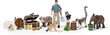 Advendikalender Wild Life Schleich 98272, 24 цена и информация | Arendavad laste mänguasjad | hansapost.ee