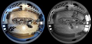 Reolink FE-W 360° panoraamkaamera koos 6MP SHD, sisseehitatud sireeniga ja kahesuunalise heliga siseruumides hind ja info | Valvekaamerad | hansapost.ee