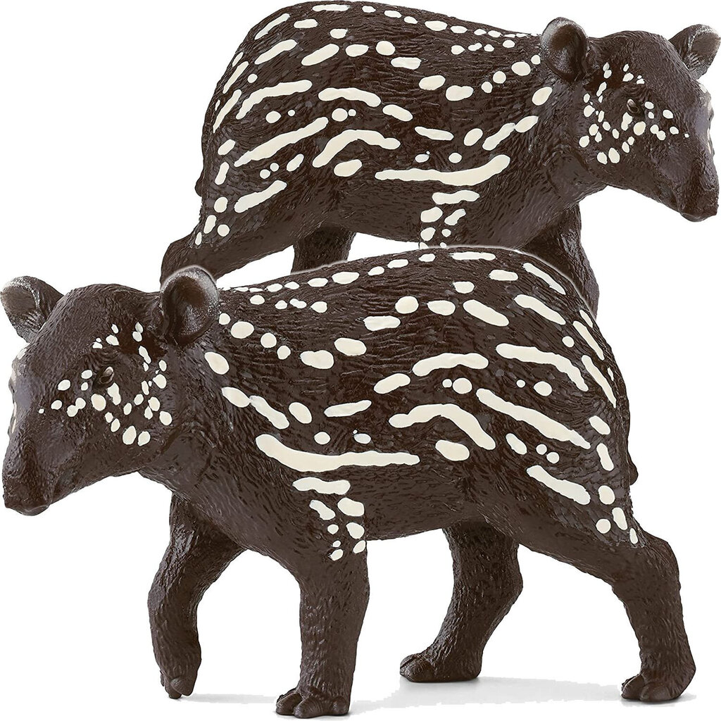 Tapir beebi Schleich Wild Life цена и информация | Mänguasjad poistele | hansapost.ee