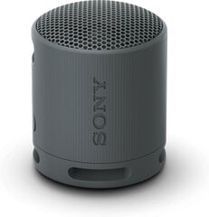 Sony SRS-XB100 Black цена и информация | Аудио колонки | hansapost.ee