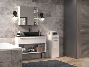 Тумба для ванной комнаты Nel V DS, серебро цена и информация | Шкафчики для ванной | hansapost.ee