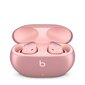 Beats Studio Buds + - True Wireless Noise Cancelling Earbuds - Cosmic Pink - MT2Q3ZM/A цена и информация | Kõrvaklapid | hansapost.ee