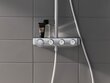 Termostaat dušisüsteem Grohe Euphoria SmartControl 310 hind ja info | Dušikomplektid ja süsteemid | hansapost.ee