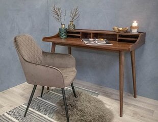 Комплект из 2 стульев Harbo, серый цвет цена и информация | Стулья для кухни и столовой | hansapost.ee