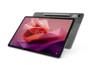 Lenovo Tab P12 128 ГБ серый цена и информация | Планшеты | hansapost.ee