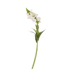 Искусственный цветок In GARDEN, H49 см, белый цена и информация | Искусственные цветы | hansapost.ee
