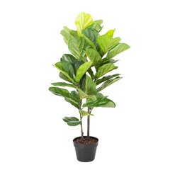 Kunstpuu FIDDLE LEAF, H190cm hind ja info | Kunstlilled | hansapost.ee