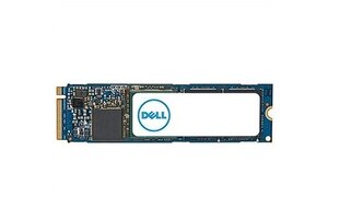Dell AC037410 цена и информация | Внутренние жёсткие диски (HDD, SSD, Hybrid) | hansapost.ee