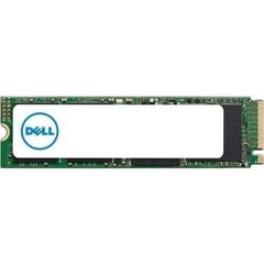 Dell AA615520 цена и информация | Внутренние жёсткие диски (HDD, SSD, Hybrid) | hansapost.ee