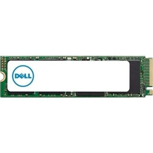 Dell AA615520 hind ja info | Sisemised kõvakettad | hansapost.ee