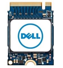 Dell AB292881 цена и информация | Внутренние жёсткие диски (HDD, SSD, Hybrid) | hansapost.ee