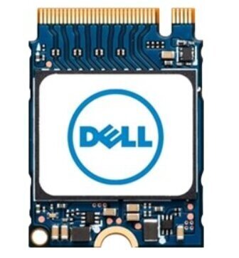 Dell AB292881 цена и информация | Sisemised kõvakettad | hansapost.ee