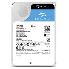 Seagate SkyHawk AI цена и информация | Внутренние жёсткие диски (HDD, SSD, Hybrid) | hansapost.ee