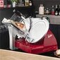 Berkel Red Line 300 hind ja info | Viilutajad ja noateritajad | hansapost.ee