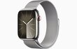 Apple Watch Series 9 GPS + Cellular 41mm Silver Stainless Steel Case with Silver Milanese Loop MRJ43ET/A цена и информация | Nutikellad, laste nutikellad | hansapost.ee