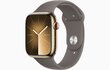 Apple Watch Series 9 GPS + Cellular 41mm Gold Stainless Steel Case with Clay Sport Band - M/L - MRJ63ET/A цена и информация | Nutikellad, laste nutikellad | hansapost.ee