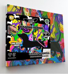 Teemantmosaiik Splat Planet Koer Taks, 30x40 cm price and information | Diamond painting kits | hansapost.ee