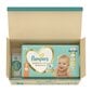 Mähkmed Pampers Premium Care, suurus 3 6-10 kg, 120 tk. + Kingitus Harmonie Aqua 48 salvrätikud väikelastele цена и информация | Mähkmed, riidest mähkmed | hansapost.ee