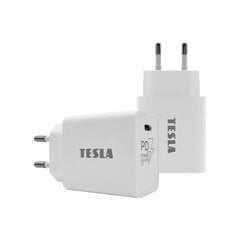 Tesla T100 hind ja info | Laadijad mobiiltelefonidele | hansapost.ee