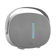 Wireless Bluetooth Speaker W-KING T8 30W (silver) цена и информация | Аудио колонки | hansapost.ee