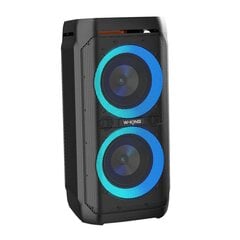 Wireless Bluetooth Speaker W-KING T11 100W (black) цена и информация | Аудио колонки | hansapost.ee