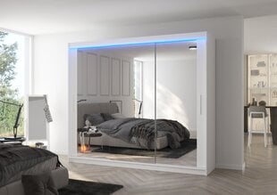 Шкаф ADRK Furniture со светодиодной подсветкой Chester 250, белый цвет цена и информация | Шкафы | hansapost.ee