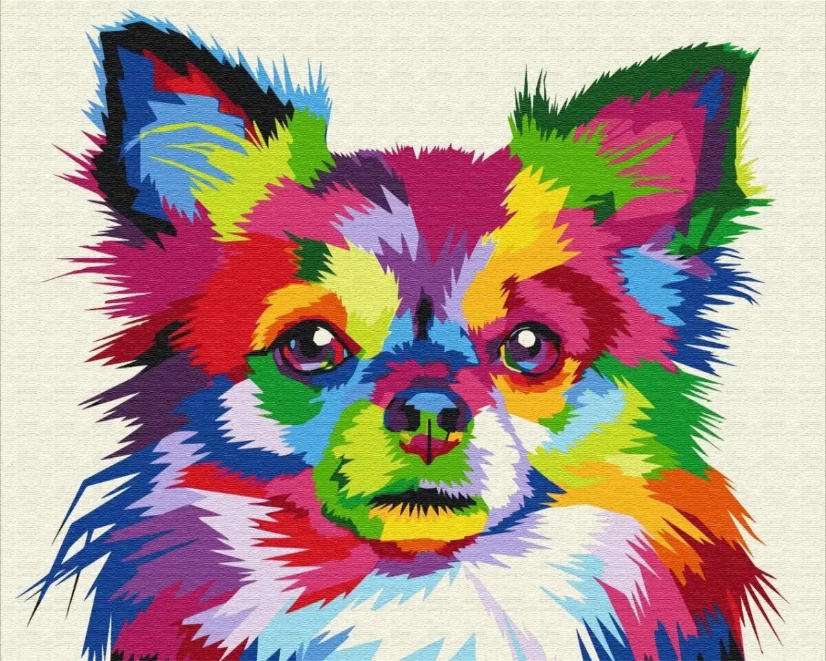 Maalimine numbrite järgi Symag Värviline koer, 40x50 cm hind ja info | Maalimiskomplektid numbrite järgi | hansapost.ee