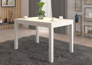 Журнальный столик ADRK Furniture Olaf 2, 120x80см, белый цвет цена и информация | Журнальные столики | hansapost.ee