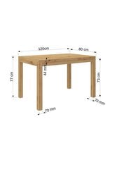 Журнальный столик ADRK Furniture Olaf 2, 120x80см, светло-коричневый цвет цена и информация | Журнальные столики | hansapost.ee