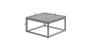 Журнальный столик ADRK Furniture Belten 65x65см, серый/черный цвет цена и информация | Журнальные столики | hansapost.ee