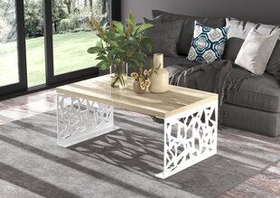 Журнальный столик ADRK Furniture Semara 100x60см, светло-коричневый/белый цвет цена и информация | Журнальные столики | hansapost.ee