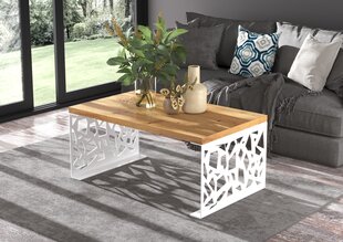 Журнальный столик ADRK Furniture Semara 100х60см, коричневый/белый цвет цена и информация | Журнальные столики | hansapost.ee