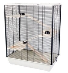 Клетка для грызунов Inter-Zoo Diego + Wood, 78 см цена и информация | Клетки и принадлежности для грызунов | hansapost.ee