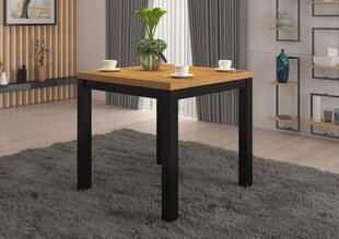 Журнальный столик ADRK Furniture Olaf 1, 80x80см, коричневый/черный цвет цена и информация | Журнальные столики | hansapost.ee