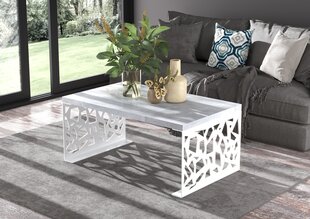 Журнальный столик ADRK Furniture Semara 100x60см, серый/белый цвет цена и информация | Журнальные столики | hansapost.ee