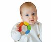 Puidust mänguasi Eichhorn, 3 kuud hind ja info | Beebide mänguasjad | hansapost.ee