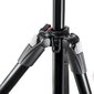 Manfrotto statiivikomplekt MK290XTA3-BH цена и информация | Fotoaparaatide statiivid | hansapost.ee