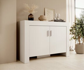 Комод ADRK Furniture 2D 120 Cesiro, белый цвет цена и информация | Комоды | hansapost.ee
