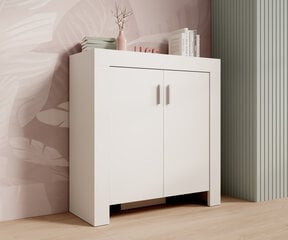 Комод ADRK Furniture 2D 100 Cesiro, белый цвет цена и информация | Комоды | hansapost.ee