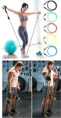 Treeningkummide komplekt Pull Rope Fitness, 11 tk. цена и информация | Фитнес-резинки, гимнастические кольца | hansapost.ee