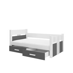 Lastevoodi Adrk Furniture Bibi, valge/hall цена и информация | Детские кровати | hansapost.ee