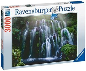 Puzzle kosed Ravensburger 10217116, 3000 tk hind ja info | Pusled lastele ja täiskasvanutele | hansapost.ee