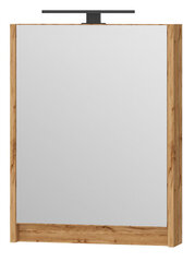 Шкаф Leomc-50 с зеркалом, коричневый цвет цена и информация | Шкафчики для ванной | hansapost.ee