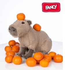 Pehme plüüsist mänguasi Kapibara Fancy, 34 cm hind ja info |  Pehmed mänguasjad ja kaisukad | hansapost.ee