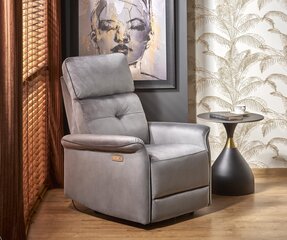 Кресло для гостиной Semir, серый цвет цена и информация | Кресла для отдыха | hansapost.ee